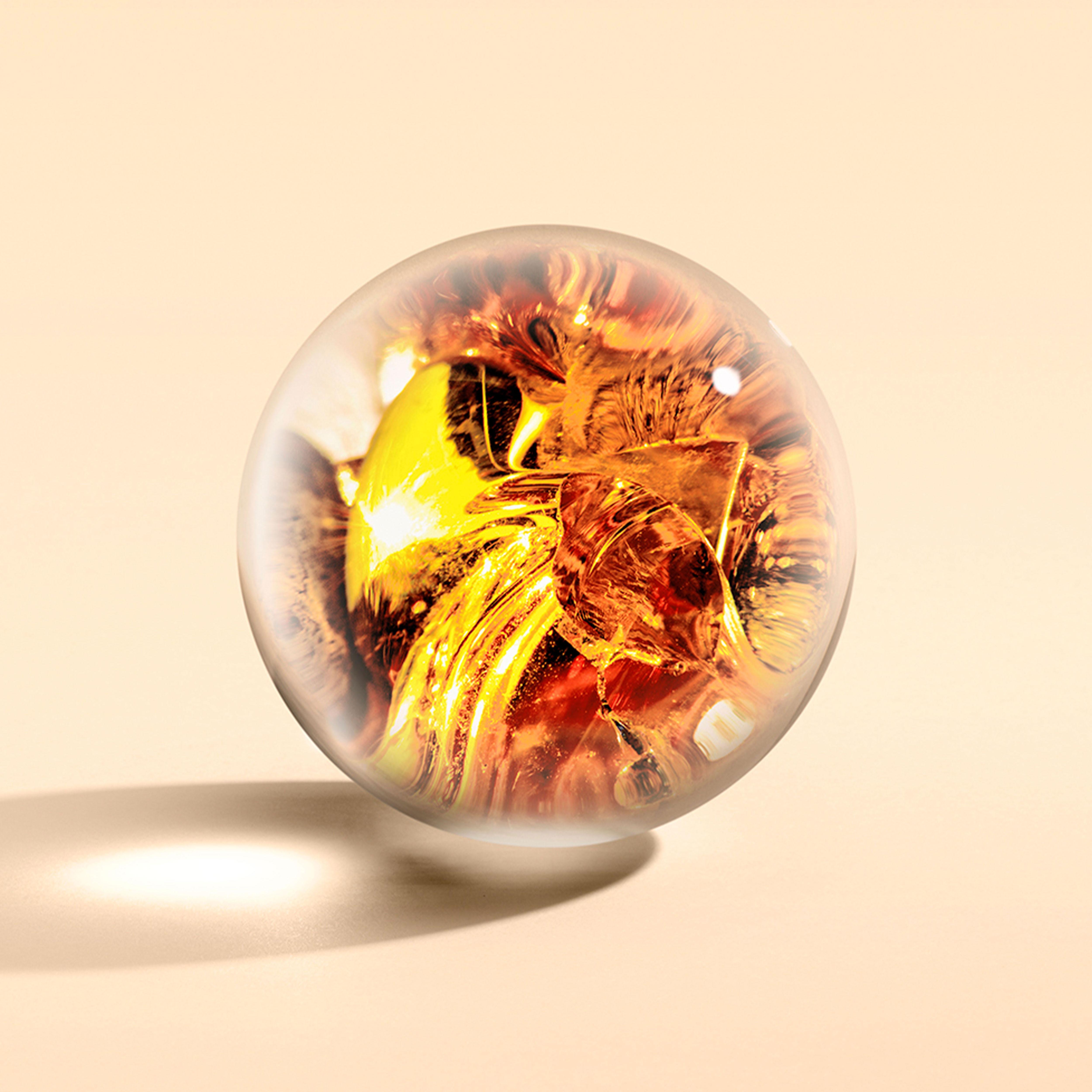 OUTLET Neon Amber Body Lotion 10fl. oz.OUTLET Neon Amber Body Lotion 10fl. oz.